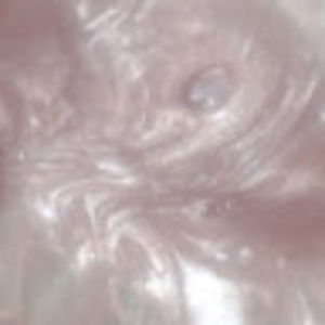 Meet your Posher, Dani